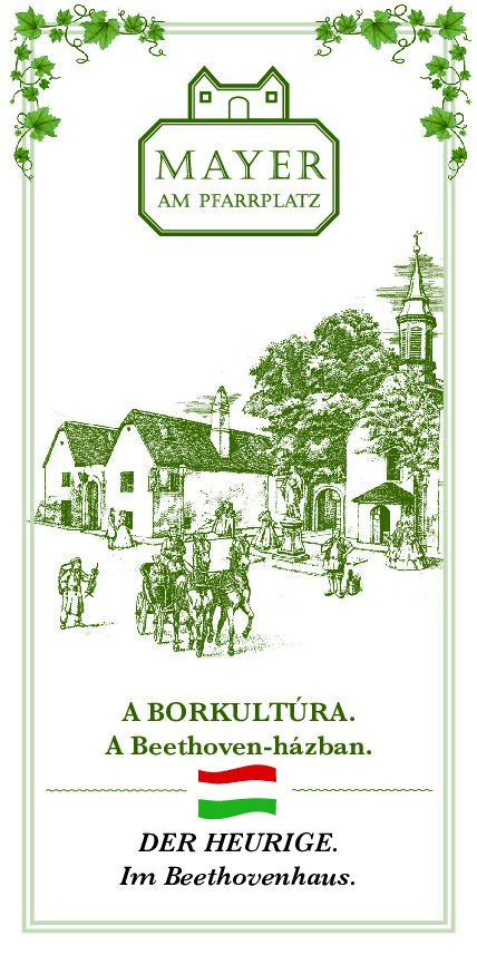 Wendefolder_UNGARISCH